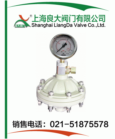 PP、PVDF脈沖阻尼器